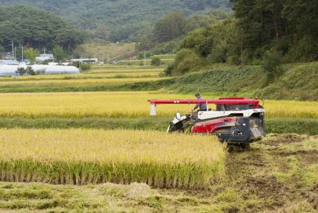 사진=게티이미지뱅크