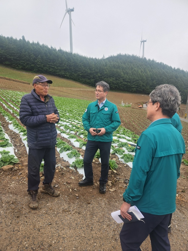서효원 농촌진흥청 차장(왼쪽 두번째) 등이 14일 강원 태백 배추밭에서 재배농가를 만나 의견을 듣고 있다. 농촌진흥청