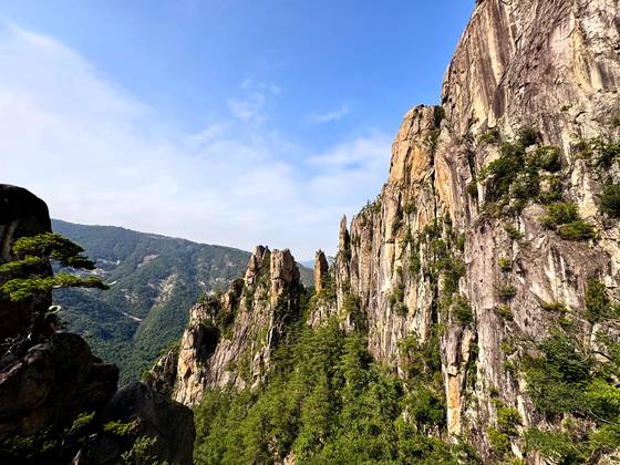 2020년 부분 개방 뒤 2021년 전면 개방된 강원도 동해시 두타산 베틀바위는 3시간이면 넉넉히 왕복 산행할 수 있다. 일각에서는 '한국의 장가계'로 부르기도 한다. 김홍준 기자