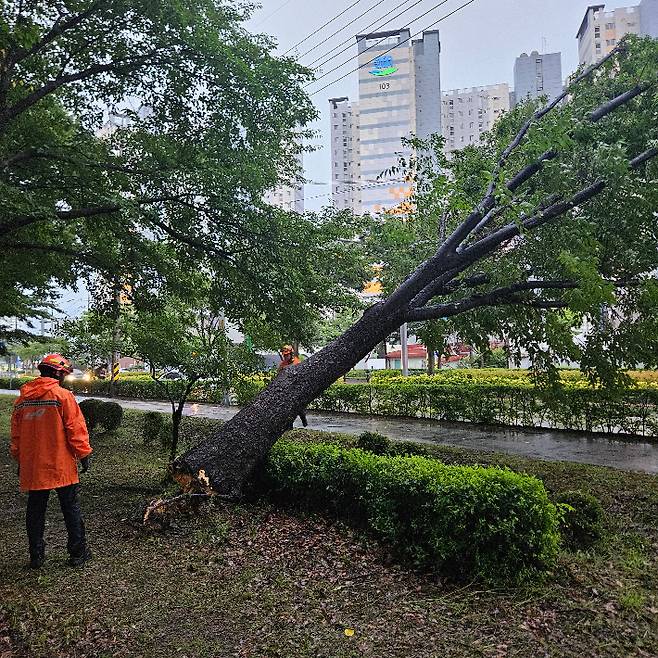 경북소방본부 제공