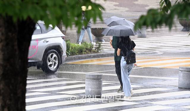 ▲ 강원도민일보 자료 사진