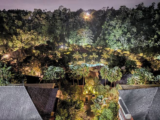 로비에서 내려다본 만다파 리츠칼튼 리저브 전경. /김지호 기자