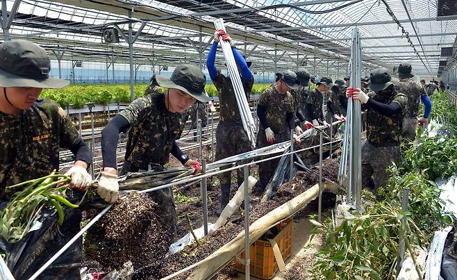 김성태 객원기자