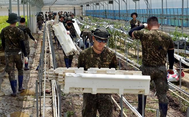 김성태 객원기자