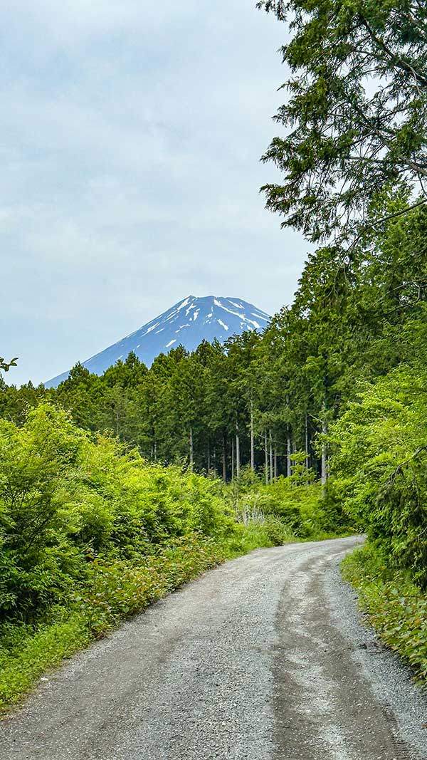 길을 달리다 보면 곳곳에서 후지산의 모습을 볼 수 있다.
