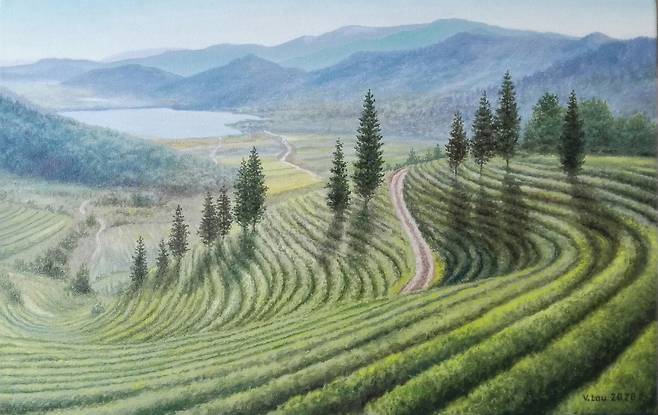빅토르 라우作 ‘Tea plantation-Tea plantation in south korea’