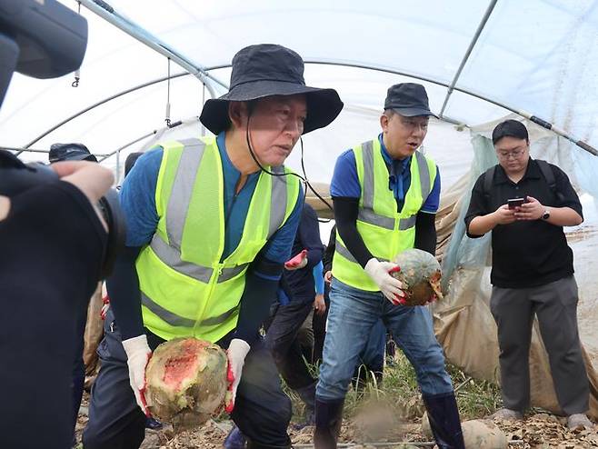 김병기 더불어민주당 대표직무대행 겸 원내대표와 정청래 당대표 후보가 21일 충남 예산군 신안면 조곡리 수해 피해 수박 시설하우스에서 복구작업을 하고 있다. ⓒ뉴시스