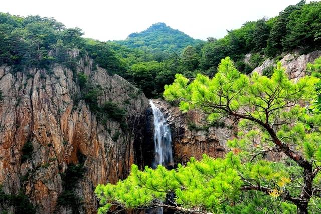 ▲ 한국의 3대 폭포로 일컬어지는 설악산 대승폭포가 지난 21일 짙푸른 녹음과 함께 비경을 자랑하고 있다. 설악산 대승폭포는 인제군 북면 한계리에 위치해 있다. 인제군 제공
