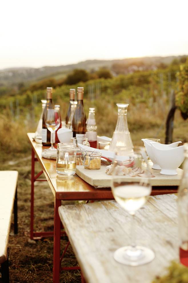 비닝거 암 누스베르크. /사진= 빈 관광청 Peter Rigaud