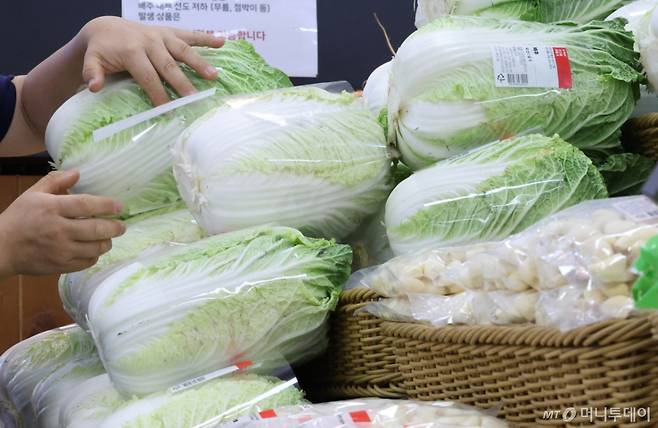 21일 서울 시내 한 대형마트 채소 매대에서 소비자가 배추를 고르고 있다. /사진=뉴시스