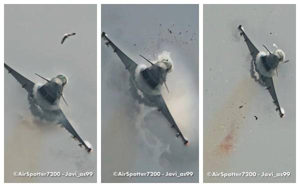 지난 달 15일 스페인의 한 에어쇼에서 스페인 공군의 유로파이터 타이푼 전투기가 시범 비행 중 갈매기 한 마리와 충돌하는 장면./Javier Alonso de Medina Salguero/SWNS