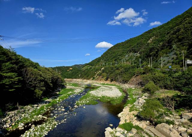 ▲ 최근 폭우가 쏟아졌지만 22일 오후 강릉시 오봉저수지의 저수율은 이날 36.6%를 기록하며 절반도 차지 못했다. 저수지 하류 물줄기도 메말라 바닥이 드러났다. 황선우 기자