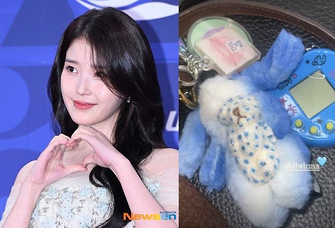 아이유 /사진=뉴스엔DB, 모모 소셜미디어