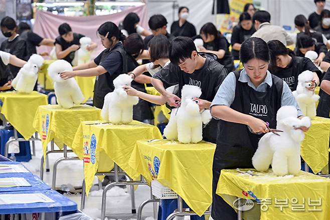 24일 오전 수원시 권선구 수원메쎄에서 열린 '2025 코리아 그랑프리 도그쇼'에서 미용 콘테스트 참가자들이 애견 마네킹으로 미용 실력을 뽐내고 있다. 임채운기자