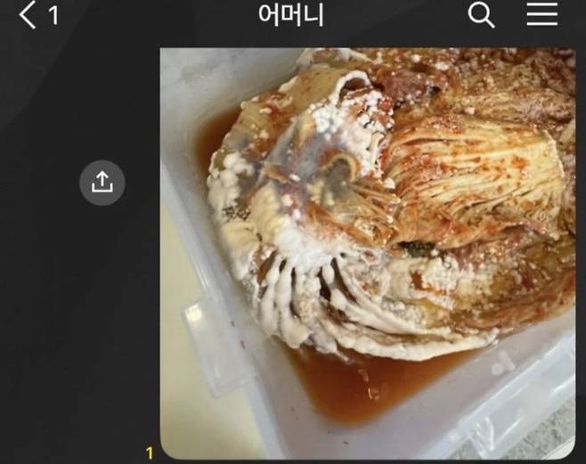 며느리가 공개한 사진. /온라인 커뮤니티