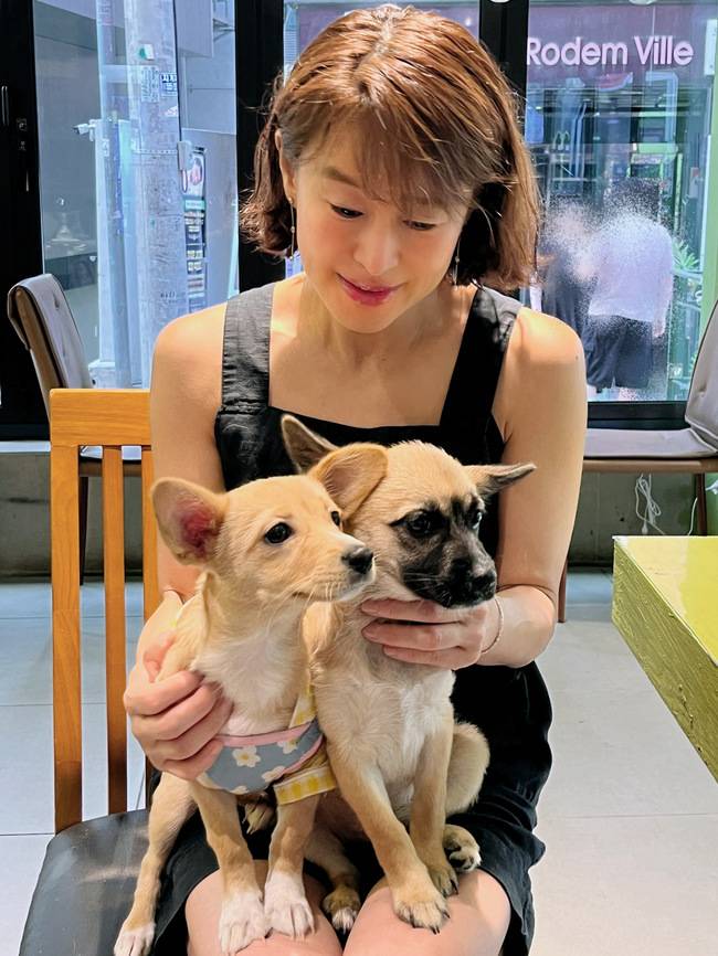 에스브이컴 제공