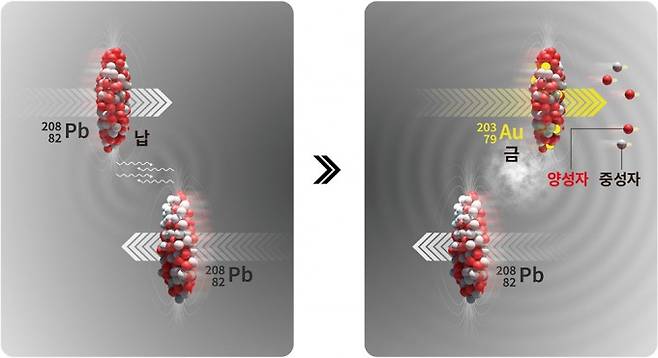 납 원자핵과 납 원자핵의 빗김 충돌에서 양성자 3개와 중성자 2개가 떨어져 나와 금 원자핵으로 변환되는 과정을 요약했다. 만들어진 금 원자핵은 질량수가 커서 대단히 불안정한데다 고속으로 가속관에 충돌하므로 매우 짧은 시간만 금으로 존재한다. CERN 제공