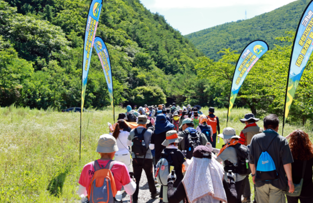 ▲ 강원관광재단이 주관한 ‘운탄고도1330 테마 트레일 페스티벌’이 26일 태백에서 열려 500여명의 참가자들은 알리소(옛 소원지캠핑장)를 출발해 태백체험공원·지지리골을 거쳐 자작나무숲으로 이어지는 ‘운탄고도 6길’을 걷고, 한강·낙동강 발원지 축제와 황지시장·관광지 등 연계 코스를 방문해 프로그램을 즐겼다.