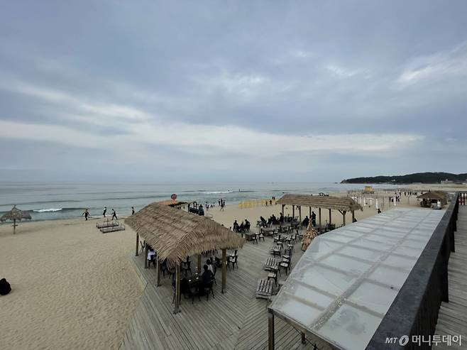 양양 서피비치 전경 /사진=이민하