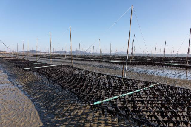 장봉도 김양식장. 사진제공=옹진군