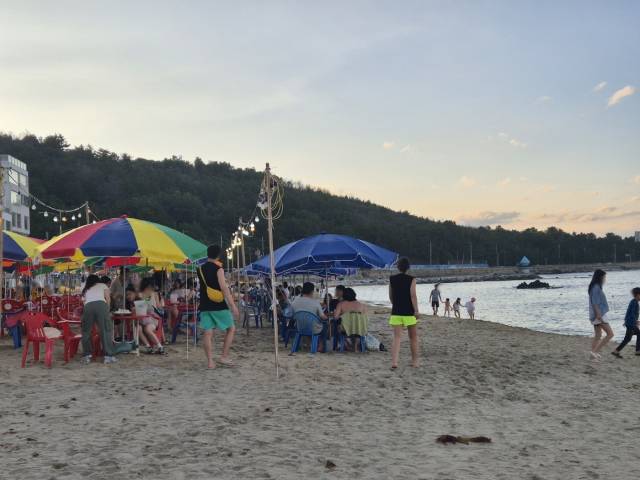 19일 오후 강원 동해시 어달해수욕장 해변 포차가 나들이객들로 북적이고 있다. 뉴스1