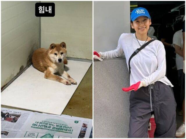 ▲ 출처| 이효리 개인 계정
