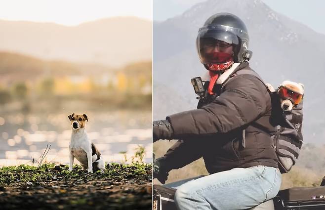취미 생활도 함께하는 보호자 소상진 씨와 반려견 히트(소상진 제공) ⓒ 뉴스1