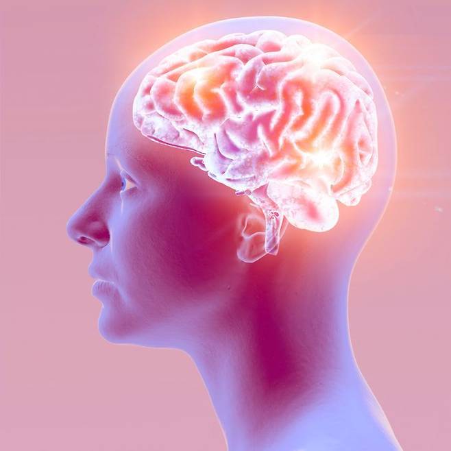 뇌 관련 이미지 ⓒ게티이미지뱅크
