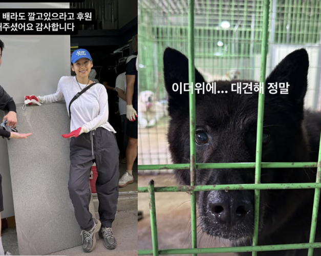 사진=이효리 SNS 캡처