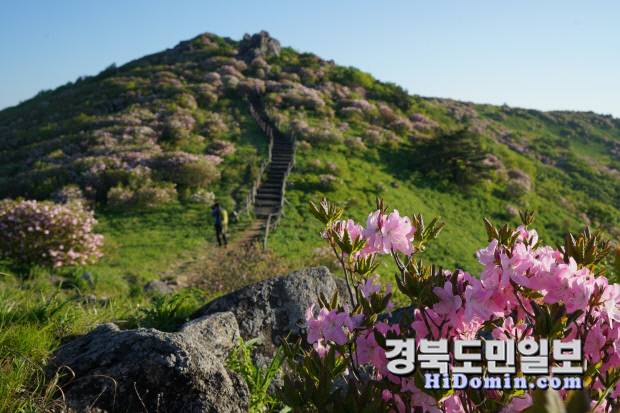한반도의 백두대간 중심부에 우뚝 솟은 소백산(해발 1,439m). 사계절 변화무쌍한 자연경관과 철쭉 군락지, 깨끗한 계곡이 어우러져 등산객과 자연 애호가들의 사랑을 받는 명산이다.