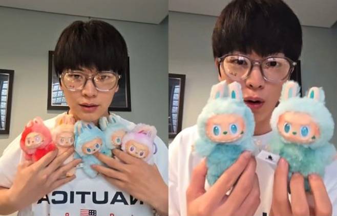 가수 겸 배우 육성재가 거액을 들여 구매한 라부부(LABUBU)가 가품으로 드러났다. /사진=SNS 캡처