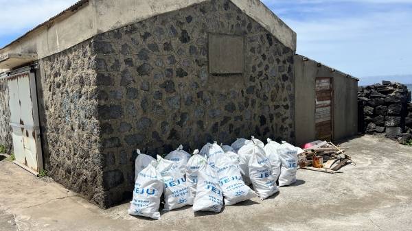 제주 플로깅 활동 모습.