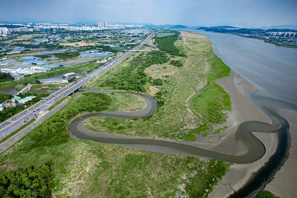 고양 장항습지 전경. /고양시 제공