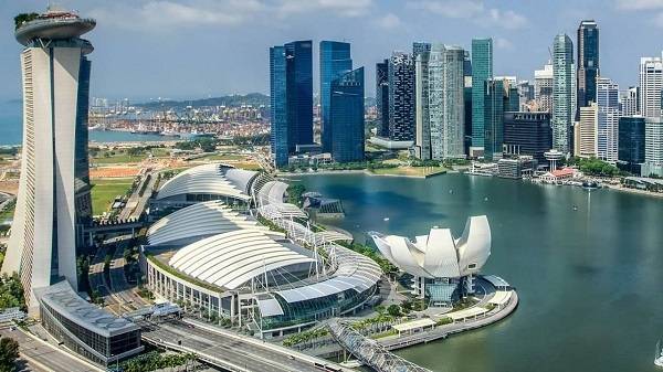 < 사진 출처 : SG Pet Festival 2025 >