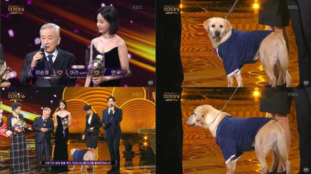 2024 KBS 연기대상에서 베스트 커플상을 받은 배우 이순재, 연우, 리트리버 아리의 모습. KBS Drama 유튜브 캡처