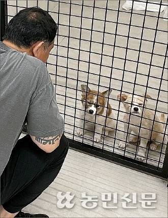 7월30일 광주광역시 동구에 개소한 유기견 입양센터 ‘피스멍멍’에서 한 시민이 강아지를 살펴보고 있다.