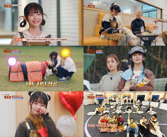 아이브 레이, 데뷔 첫 고정 예능 '집 나가면 개호강' 유종의 미