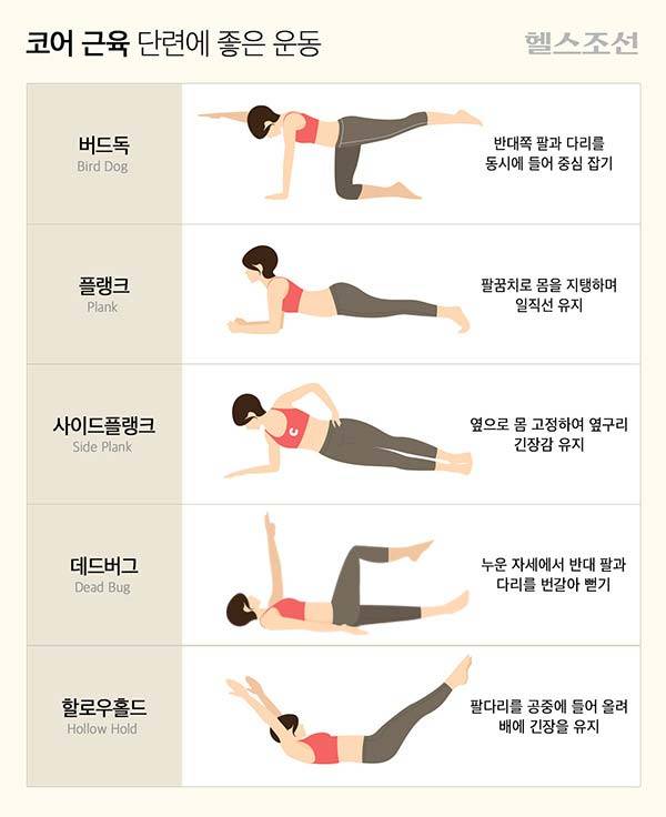 코어 근육 단련에 좋은 운동./그래픽=김남희
