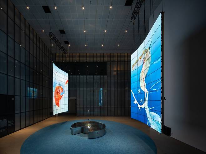 MMCA X LG OLED 시리즈 2025 <아가몬 대백과 : 외부 유출본> 전시전경. LG전자.