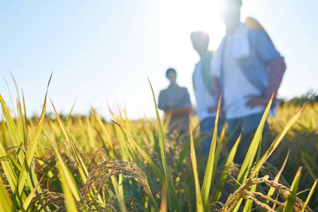 농업인을 위한 ‘건강보험료 지원’ 사업에 대한 홍보가 강화된다. 사진은 기사의 특정 사실과 관련 없음. 게티이미지뱅크