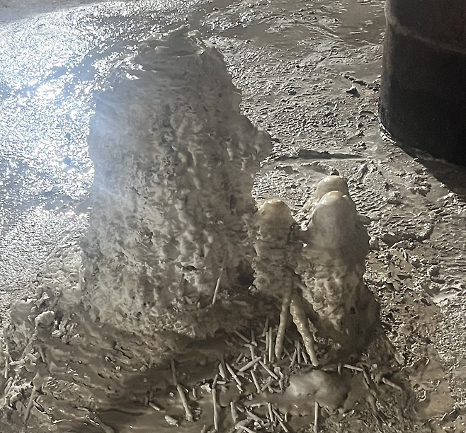 비밀의 공간 바닥 한켠에 자라난 종유석. 이 종유석은 철거된다. 박병국 기자