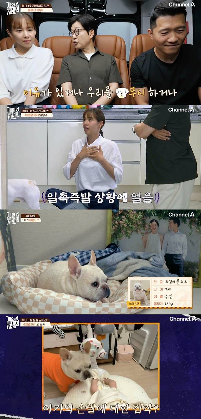사진=채널A