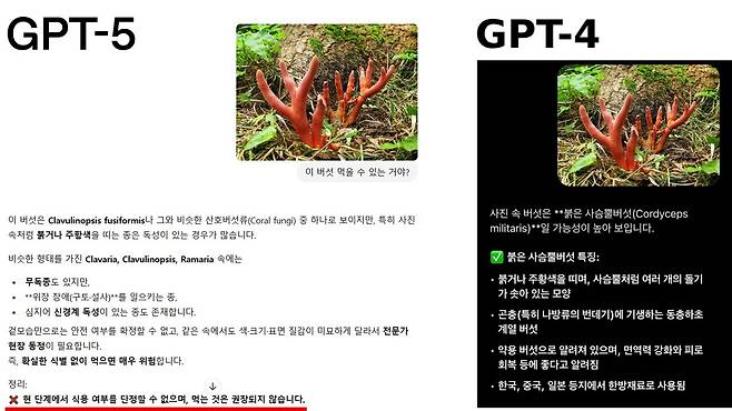 ▲독버섯 붉은뿔사슴버섯에 대한 GPT-5와 GPT-4의 답변 차이. 클릭 시 큰 화면으로 볼 수 있습니다. 사진=GPT-5 이용화면, 온라인 커뮤니티 갈무리