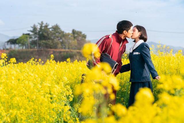 넷플릭스는 '폭싹 속았수다'의 영어 제목을 미국의 명언 'When Life Gives You Lemons, Make Lemonade(살다가 레몬이 생기면 레모네이드를 만들어라)' 중 '레몬'을 '귤'로 변용해, '인생이 당신에게 귤을 줄 때' 혹은 '살다가 귤이 생기면'이라는 의미를 담은 'When Life Gives You Tangerines'로 정했다. 대만에서는 사자성어인 '고진감래(苦盡甘來)'를 활용해 '고생 끝에 너를 만나다'는 맥락의 제목으로 소개됐는데, 이때 고진감래의 달 '감'(甘)을 모양이 비슷한 한자인 귤 '감'(柑)으로 바꿨다. 넷플릭스 제공