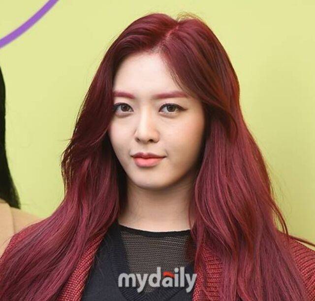 임도화 / 마이데일리