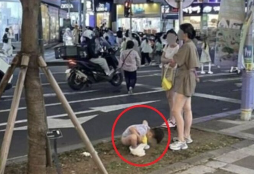 사진=서경덕 성신여대 교수 SNS