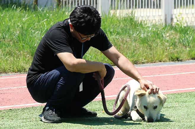 ▲ 심용섭 주무관이 연평도 평화안보수련원 운동장에서 풍산개 '햇님'이를 쓰다듬고 있다. /이재민 기자 leejm@incheonilbo.com