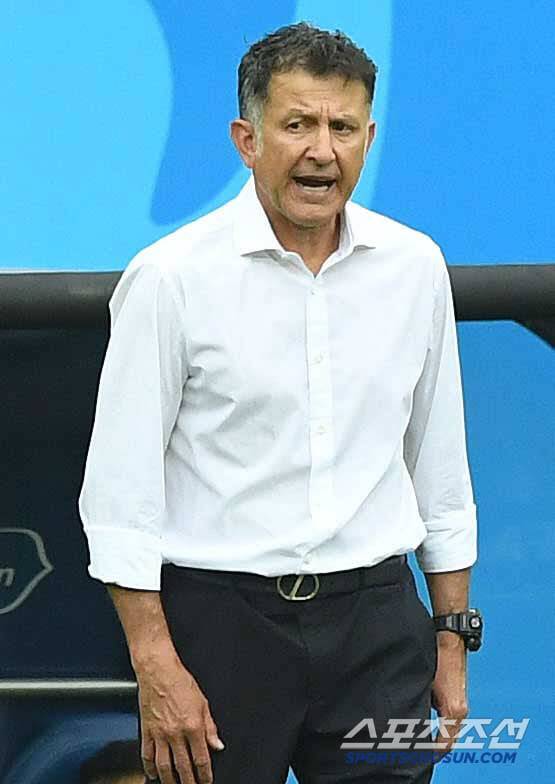 스포츠조선DB