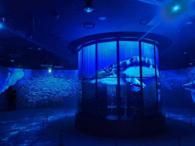 LG전자 플래그십 D5의 5층 헤리티지 존에서 LG전자의 미래 비전을 담은 미디어 영상이 28대의 올레드 패널을 통해 상영되고 있다. 노우리 기자