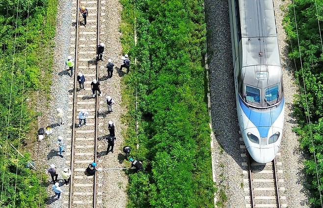 지난 20일 오후 경북경찰청, 국립과학수사연구원, 항공철도사고조사위원회, 노동 당국 등 합동감식에 참여한 기관 관계자들이 경북 청도군 화양읍 삼신리 경부선 무궁화호 열차 사고 현장에서 합동감식을 진행하고 있다. /뉴스1
